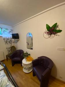 TV a/nebo společenská místnost v ubytování Zimmer # 1 und Zimmer # 2 mit Außenbereich + 18 fotografií