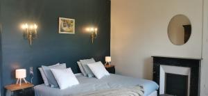 a bedroom with a bed with a fireplace and a mirror at Family home Cour du Louvre in Saint-Sever-Calvados