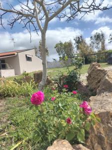 Zahrada ubytování Camera Serraona + 9 fotografií