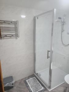 a shower with a glass door in a bathroom at hillgate farm lodges in Godney Hill +59 photos