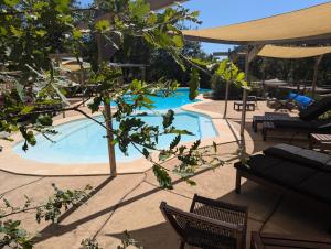 a swimming pool with chairs and an umbrella at Aux Lodges du Mas de Nadal in Sauliac-sur-Célé