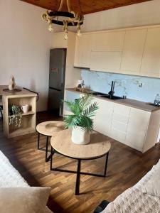 Kuchyň nebo kuchyňský kout v ubytování Zere House