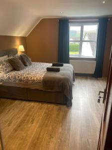 a bedroom with a bed with blue curtains and a window at Wind Rose Rooms in Ballycastle