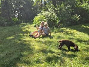 Ospiti di Stunning location, Omeath con animali domestici