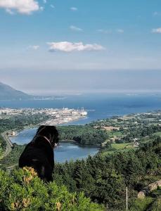 Paesaggio naturale nelle vicinanze della casa vacanze