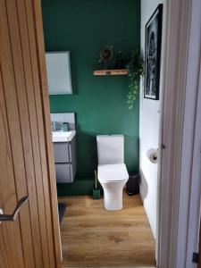 a bathroom with a toilet and a green wall at No 3 Waterloo Place in Welshpool +29 photos