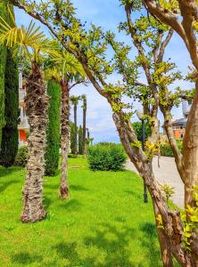 a row of palm trees in a park at Appartamento Peschiera in Peschiera del Garda