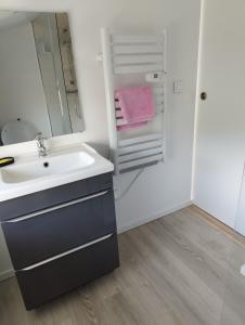 a bathroom with a sink and a shower at Appartement proche Bordeaux in Cenon