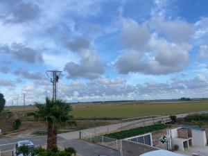 a palm tree in a parking lot with a cloudy sky at La Caseta del Nisproner in El Lligallo del Gànguil