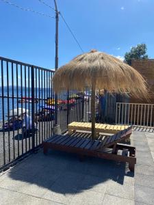 Příroda nedaleko apartmánu + 2 fotografie