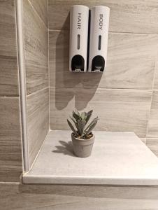 a potted plant sitting on a shelf in a shower at Studio Ocean in Paralia Dionysiou