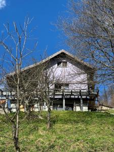 a building on a hill with trees in front of it at Villa Sandra in Rude