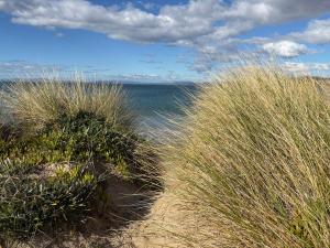 a beach with tall grass and a body of water at Beachfront Holiday Home Close to Airport in Lauderdale