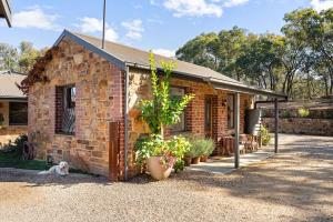 a brick house with a dog sitting in front of it at HeartStone Hill - Studio in Castlemaine