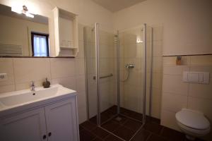 a bathroom with a shower and a sink and a toilet at Gästehaus Bohg in Burg