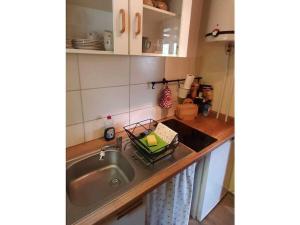 eine Küche mit Spüle und Arbeitsplatte in der Unterkunft Holiday home in Harz with 2 bedrooms in Ilsenburg + 32 Fotos