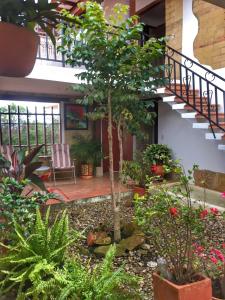 Ein Garten an der Unterkunft Casa Finca Los Arrayanes, spectacular views!