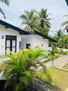 a white house with palm trees in front of it at Avinka Grand in Talagala