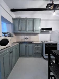 a kitchen with green cabinets and a microwave at Aelia in Ioulis +10 photos