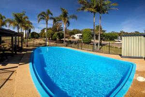 a blue swimming pool with palm trees in the background at BIG4 Wallaga Lake Holiday Park in Bermagui