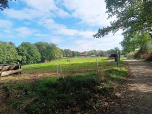 Przyroda w pobliżu tego apartamentu