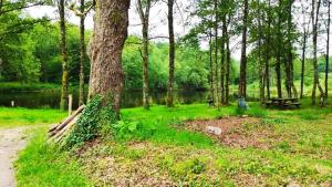 Ogród w obiekcie CAP NATURE - T3 et T4 en Périgord vert - Idéal PROS et GROUPES MAX 18P
