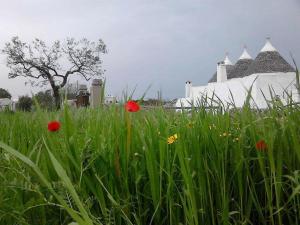 a field of grass with red flowers in front of a building at Ai Due Archi in Martina Franca