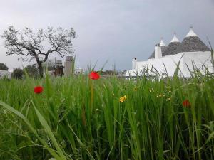 un prato di erba con fiori rossi di fronte a un edificio di Ai Due Archi a Martina Franca