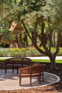two benches in a park with trees and a gazebo at Kempinski Hotel San Lawrenz in San Lawrenz