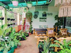 Zahrada ubytování Amwani Garden