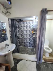 a bathroom with a shower with a sink and a toilet at Seromue in Diego Suarez