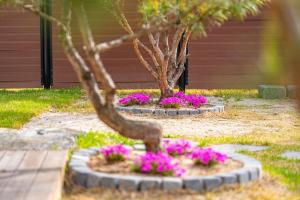 a tree in a flower bed with pink flowers at Chuncheon Soopsog Jageun Jib Pension in Chuncheon +17 photos