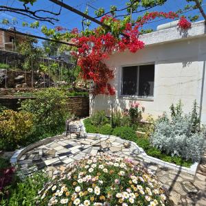 Gallery image of Flora’s place in Sarandë