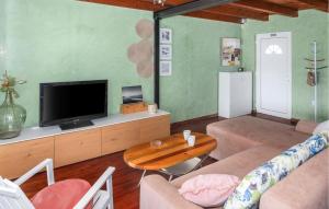 Televízia a/alebo spoločenská miestnosť v ubytovaní Holiday Home Valbandon 11