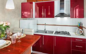 Kuchyňa alebo kuchynka v ubytovaní Holiday Home Valbandon 11