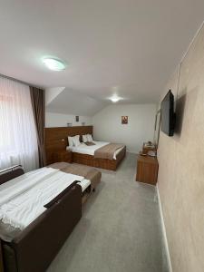 ein Hotelzimmer mit zwei Betten und einem Flachbildfernseher in der Unterkunft Pensiunea Andias in Suceviţa + 86 Fotos