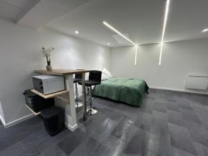 une chambre avec un lit et un bureau avec un ordinateur dans l'établissement Loft Moderne à Deux Pas de Colmar, à Wintzenheim
