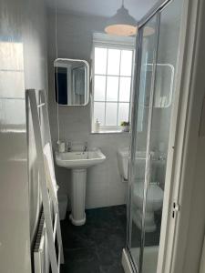 a bathroom with a sink and a toilet and a mirror at Buttercup Cottage in Dundrum +27 photos