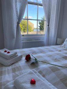 a white bed with towels and a rose on it at Buttercup Cottage in Dundrum