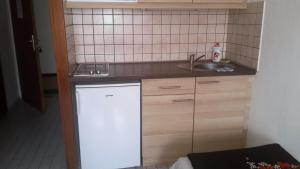a small kitchen with a sink and a dishwasher at Judit Apartmanok in Budapest