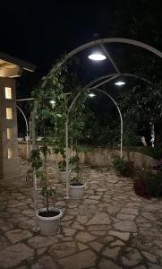 Zahrada ubytování Don Peppe B&B