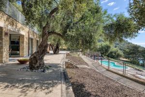 a tree on a sidewalk next to a pool at Villaggio Balzi Rossi in Ventimiglia