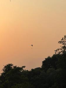 Una cometa volando en el cielo sobre unos árboles. en Bir Hotel by Aaroh, en Bīr