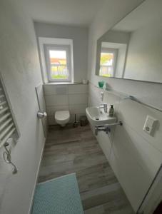a small bathroom with a sink and a toilet at Chiemgauer Landliebe in Höslwang +33 photos