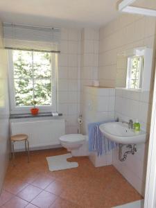 a bathroom with a toilet and a sink at Ferienwohnung Für 4 Personen Ca 37 M Sup2 In Sayda, Mittelgebirge Deutschland Erzgebirge in Sayda
