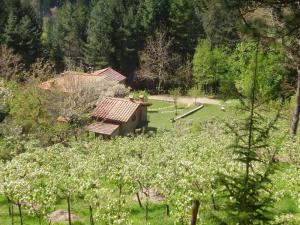una casa in mezzo a un campo di fiori di Appartement Mit Grill, Gemeinsamem Pool Und Garten a Bibbiena
