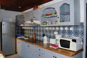 a kitchen with a counter with a microwave and a refrigerator at Spiti Limnos, Idyllisch Gelegen Im Orangenhain in Límnos