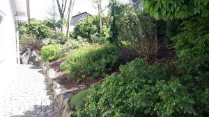 a garden with flowers and plants next to a house at Ferienhaus Für Sieben Personen in Friedrichshausen +32 photos