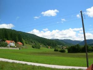 a view of a green field with mountains in the background at Stacaravan Rozika in Slovenj Gradec