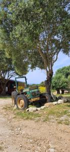 a green tractor parked next to a tree at Grande Chambre tout confort 4 in Bonifacio +1 photo